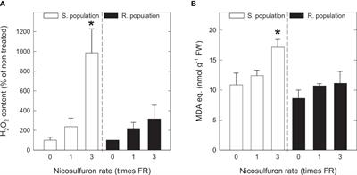 Role of oxidative stress in the physiology of sensitive and resistant Amaranthus palmeri populations treated with herbicides inhibiting <mark class="highlighted">acetolactate synthase</mark>